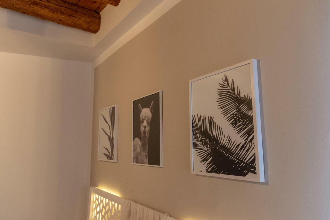 Apartmán La Casa Di Bassano Bassano del Grappa Exteriér fotografie